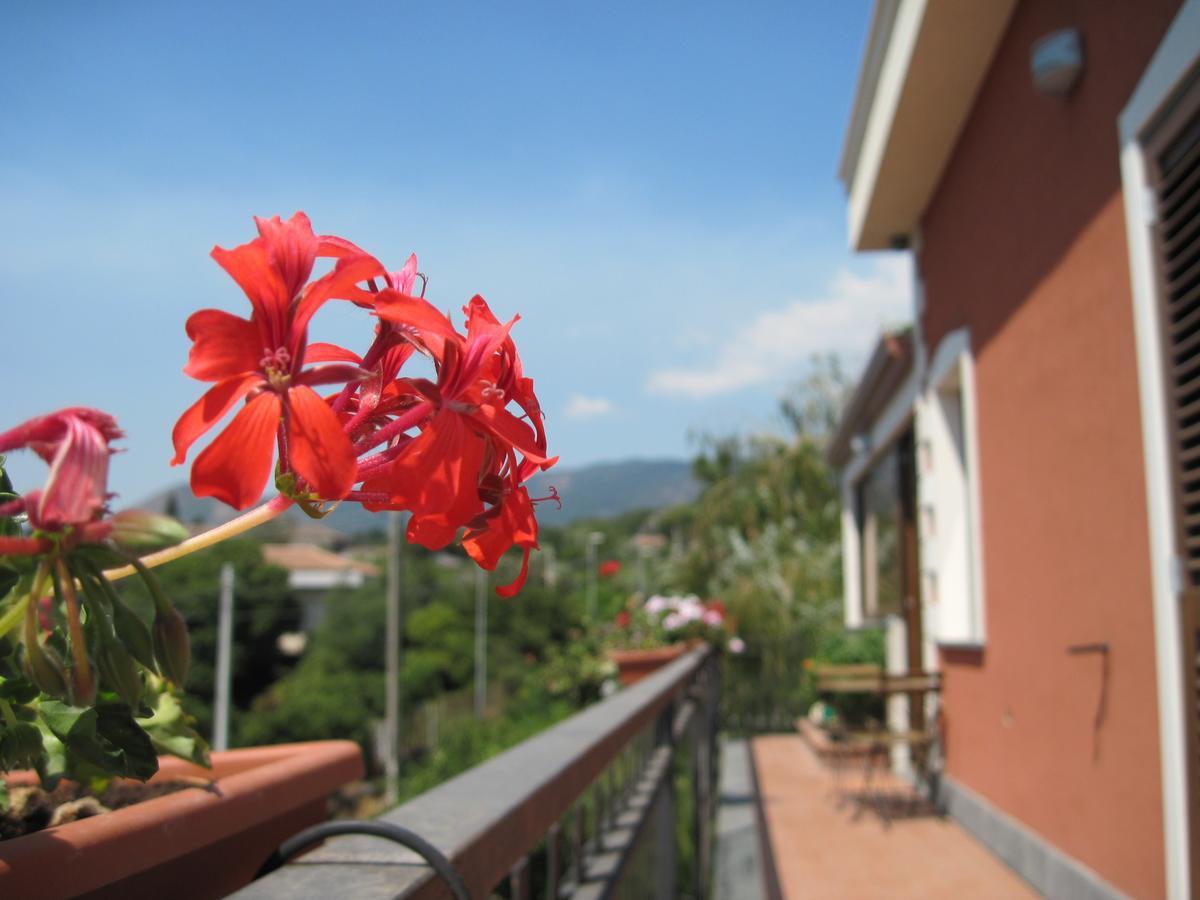 Anthea Dell' Etna Bed & Breakfast Santa Venerina Dış mekan fotoğraf